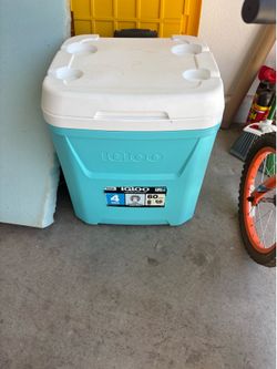 64 Qt Igloo Cooler
