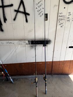 Fishing Rods with Spinning Reels