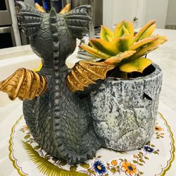 🔥 🐉 🪽  Dragon Planter -Golden Wings - W Sunburst Succulent 🪴 🌞 
