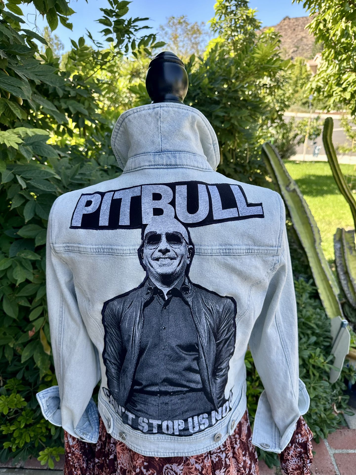 Women's Pit Bull Can't Stop Us Now Jean Jacket-Petite Small