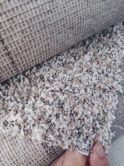 New Carpet!