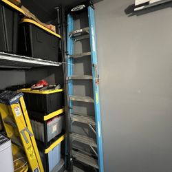 Werner 8 Foot Ladder 