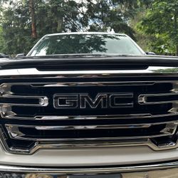 2020 Gmc Grill  OEM !