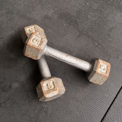 5 Lbs Dumbbells (pair) - $10 OBO