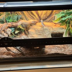 Reptile Enclosure w lamp & dish, 36x18x12