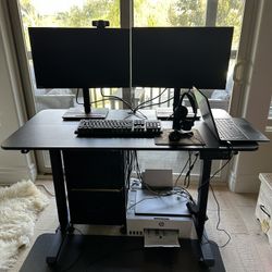 Adjustable Desk w/ Wheels