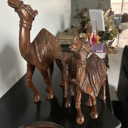 3 Camels