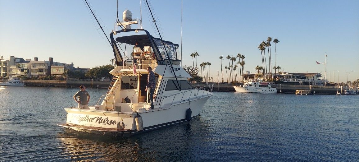 1987 Southern Cross 44 Sportfisher