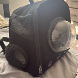 Cat Backpack 