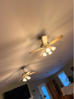 Light fixtures and ceiling fans