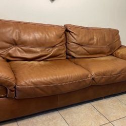 Nattuzzi Leather Sofa