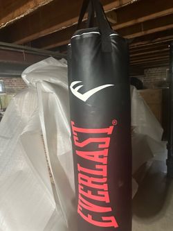 Everlast 100lb boxing bag (heavy bag)