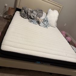 Queen Bed No Mattress 