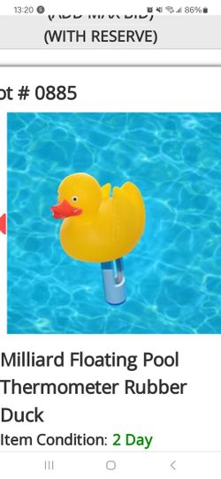  pool thermometer Floating Duck