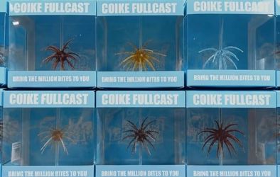 Coikes fishing lures