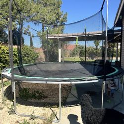 Trampoline 