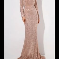 Rose Gold Dress With Silver 