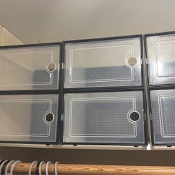 Shoe Containers 