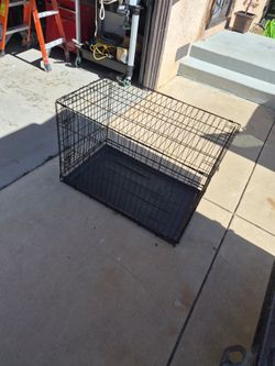 Black Wire Dog Crate with Tray