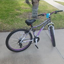 Genesis Whirlwind 26 Bike