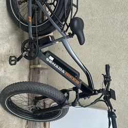 Electric bike