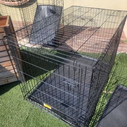 XXL DOG Kennel