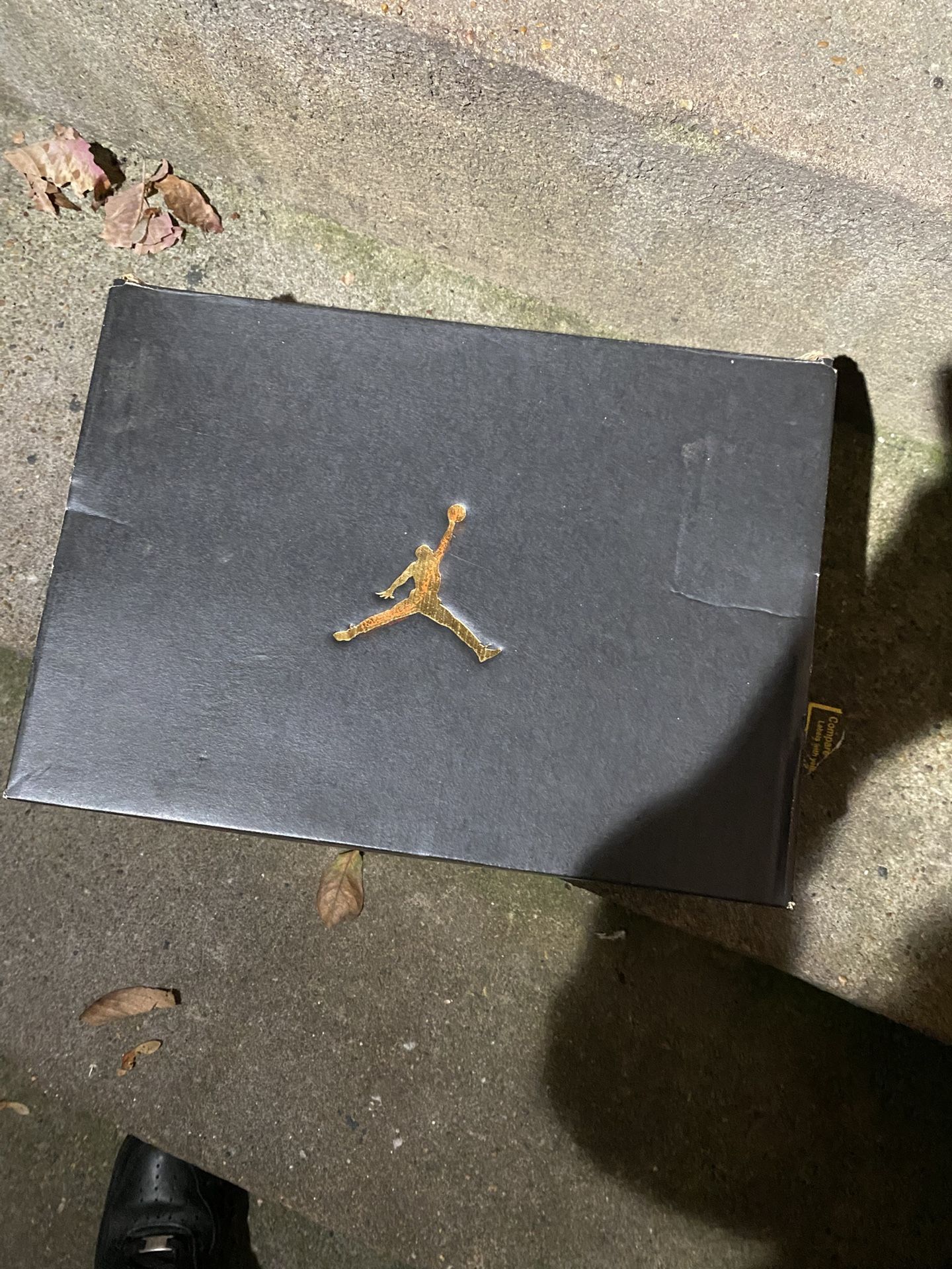 Air Jordan 1 low