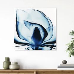 'Blue Magnolia X-ray' by Albert Koetsier - Photograph Print on Glass