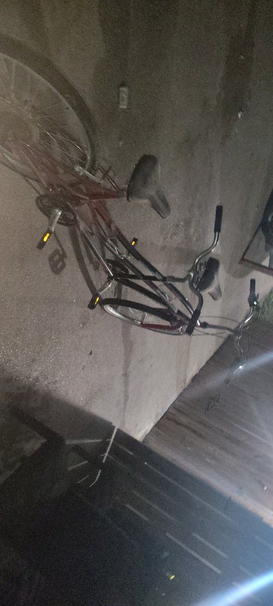 Two Seater Bike Works Great Nothing Wrong With It