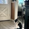 Adriana B