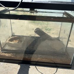 Terrarium