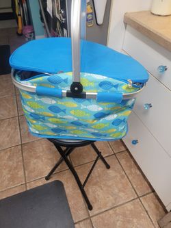 Insulated Picnic Basket_$10_New