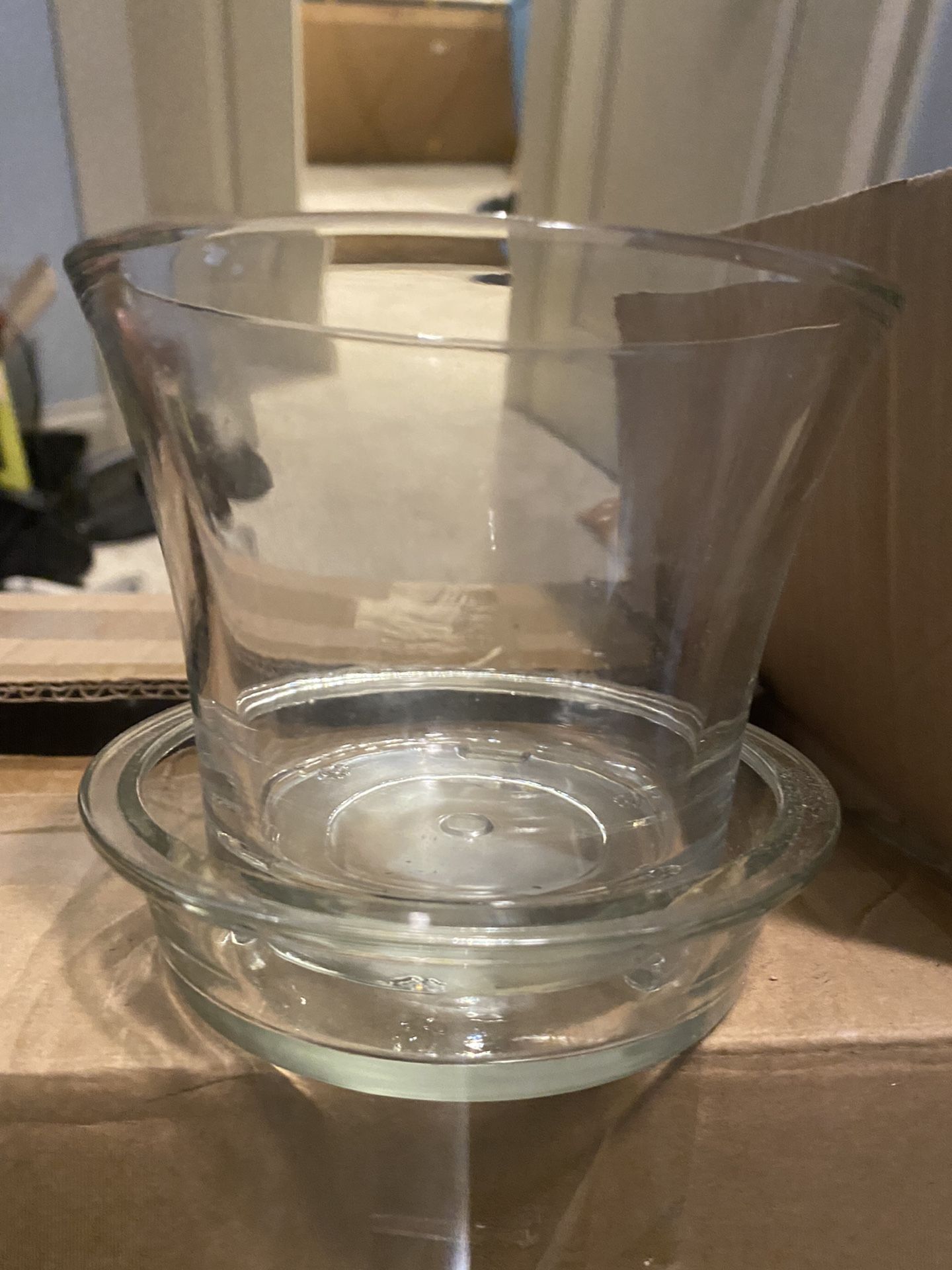 Orchid Glass Vase/Pot 