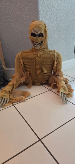Halloween Decorations