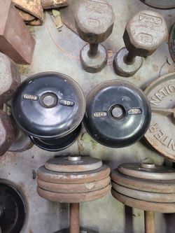 10lb Dumbbells Intek