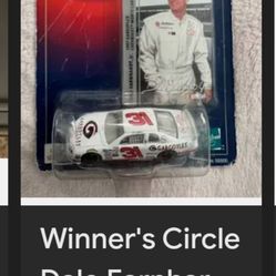 DALE EARNHARDT JR #31 CAR