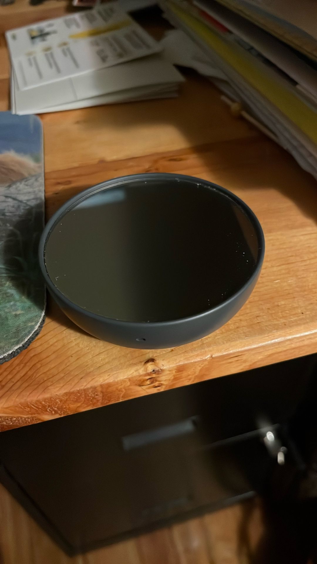 Nest indoor thermometer