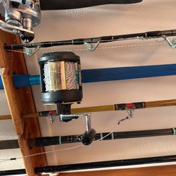 Shimano TLD 30 Trolling Reel