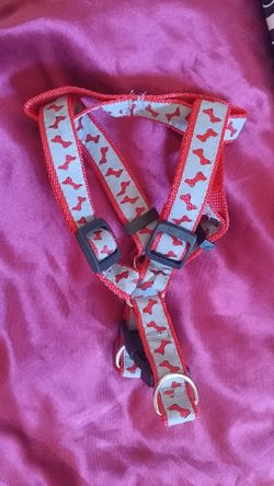 Dog harness with reflective bone design