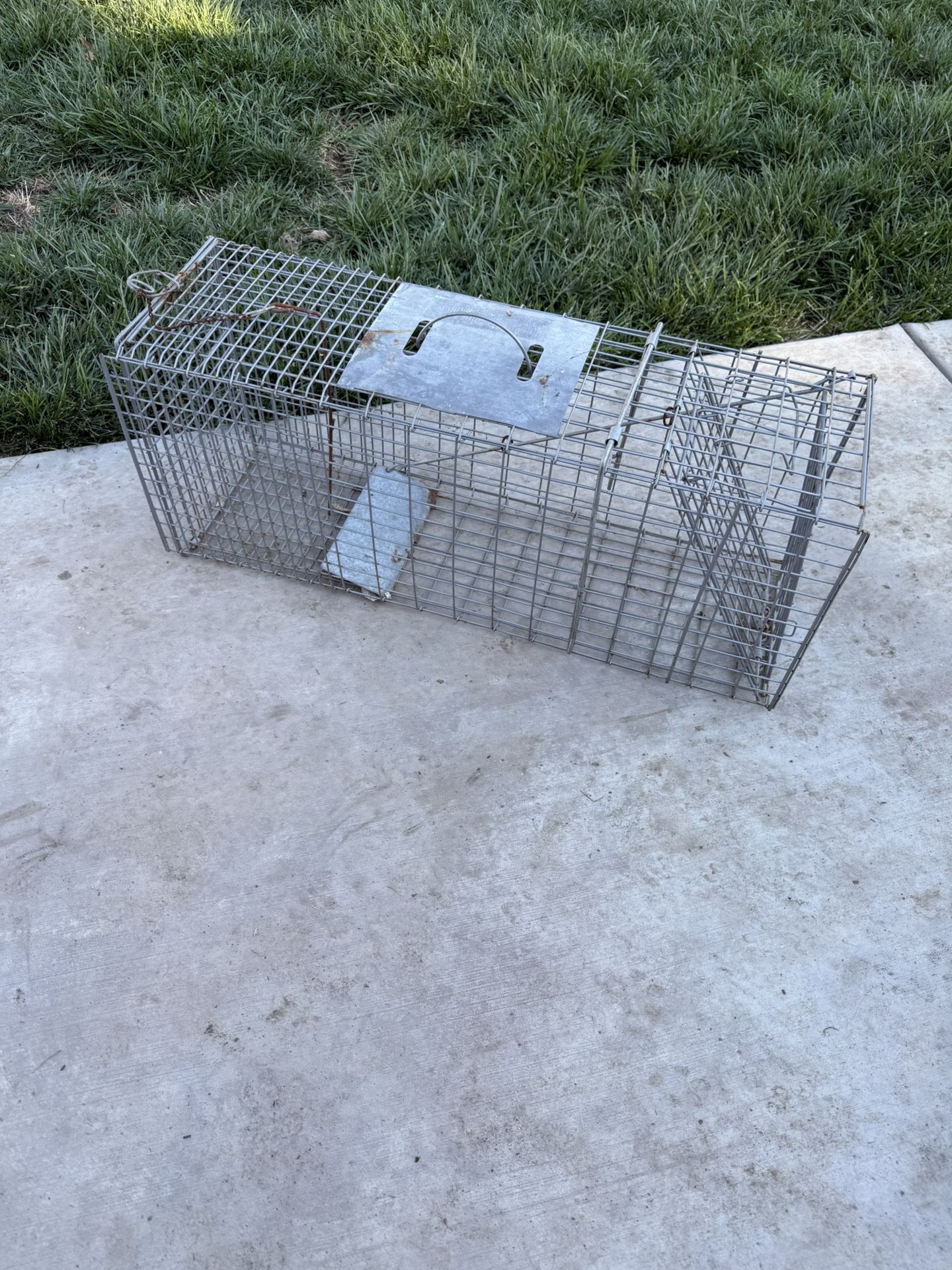 Animal Trap 