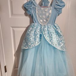 Cinderella Dress With Gloves 