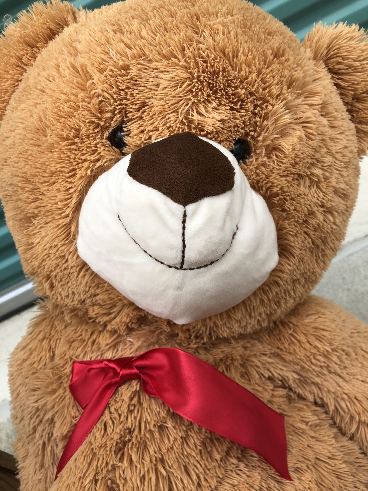 Teddy bear