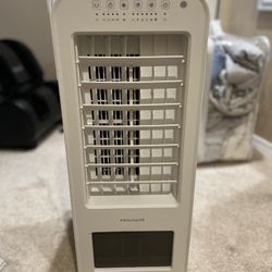 Frigidaire 2-in-1 Evaporative Air Cooler & Tower Fan - Add Water/Ice for Cooling!