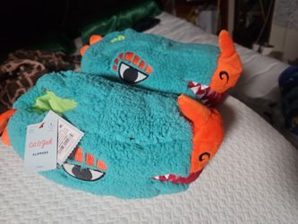 Brand New Slippers
