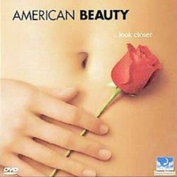 American Beauty (DVD 2000) Limited Edition Packaging  Awards Edition Widescreen)
