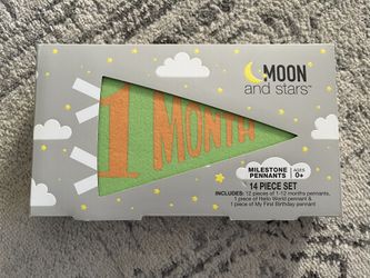 Baby Month Milestone Flags 