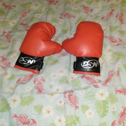 Boxing Glubs 