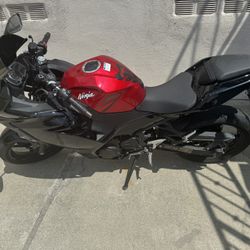 2019 Ninja 400