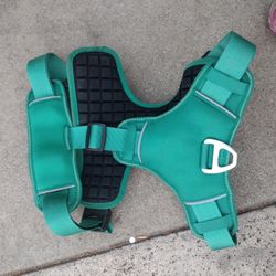 Dog Harness 
