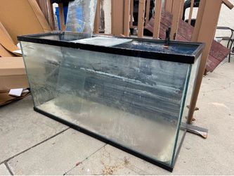 90 gallon tank
